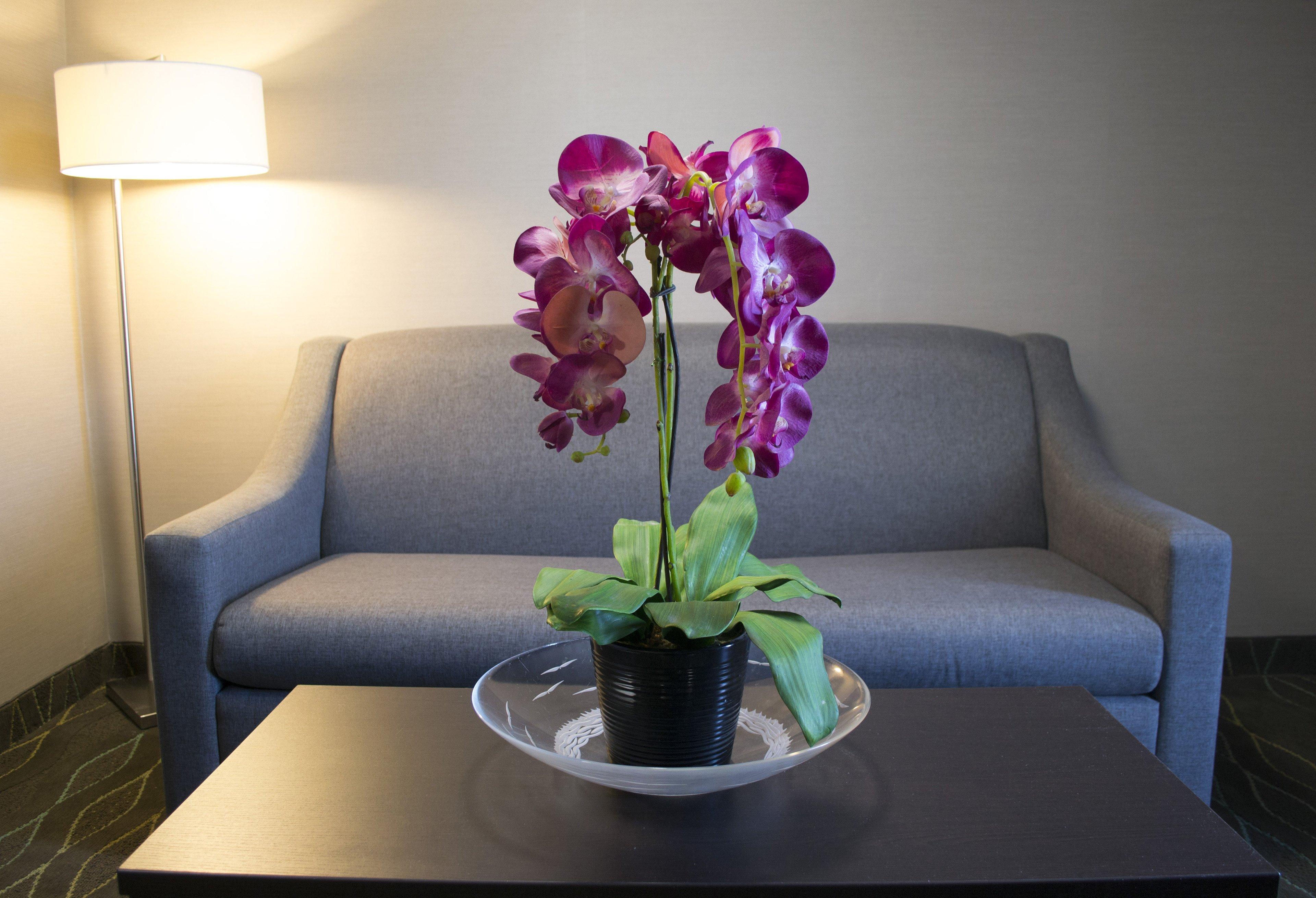 Holiday Inn Sudbury By Ihg Zewnętrze zdjęcie